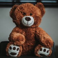 Teddy Tells All by Rollin Jewett (image by Luwadlin Bosman)